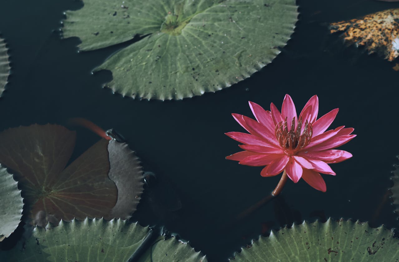 What Will Matter In The End